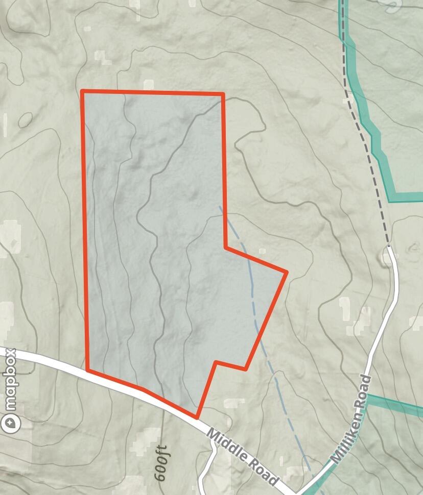 1186 Middle Road Parsonsfield, ME 04047 - Photo 8 of 10 IMG_5002