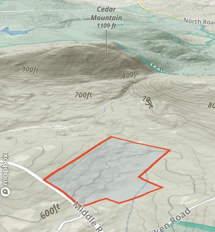 1186 Middle Road Parsonsfield, ME 04047 - Photo 9 of 10 IMG_5003