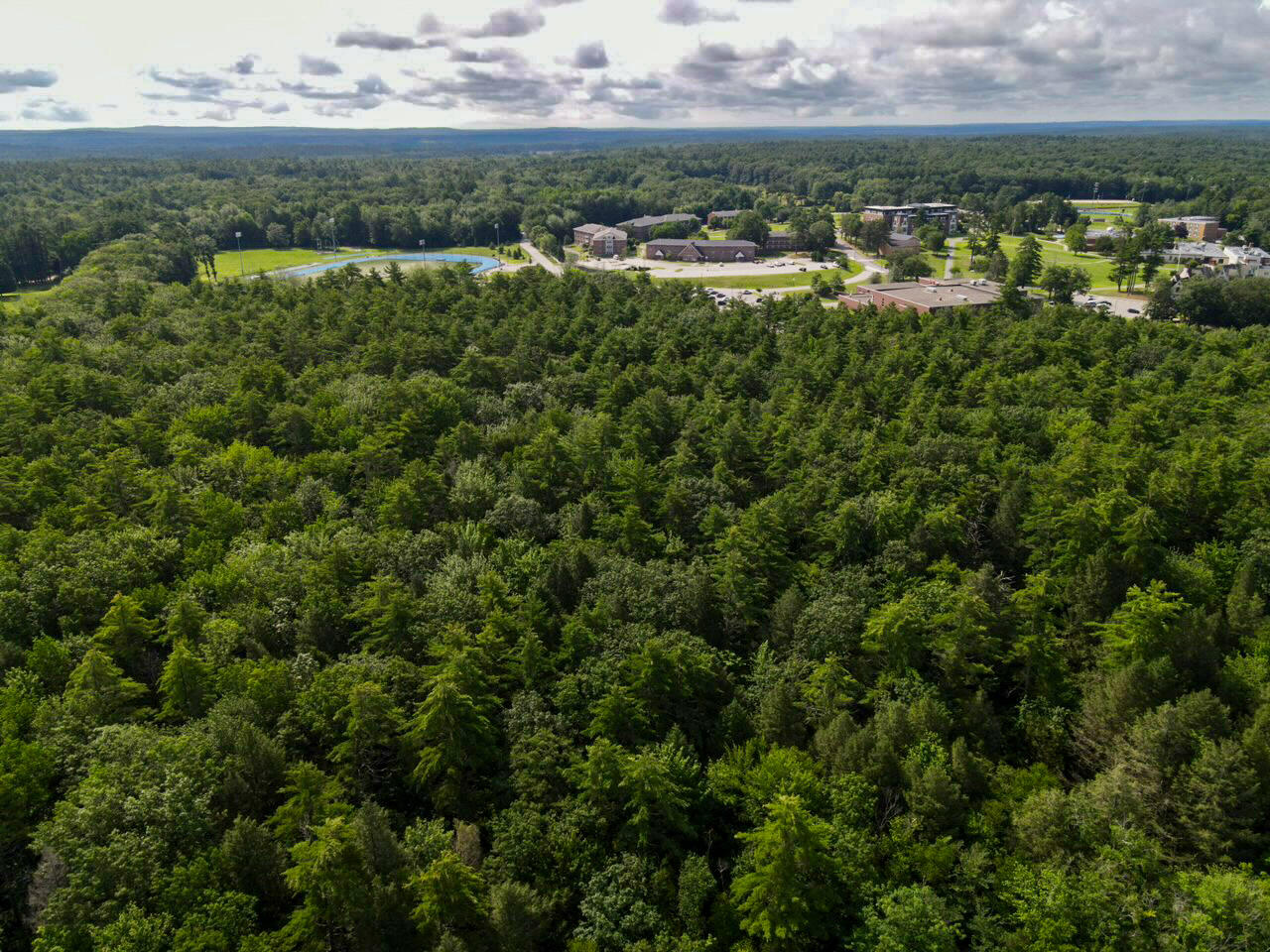 Tbd Westerlea Way Standish, ME 04084 - Photo 5 of 14 dji_fly_20230717_094344_425_168960145403