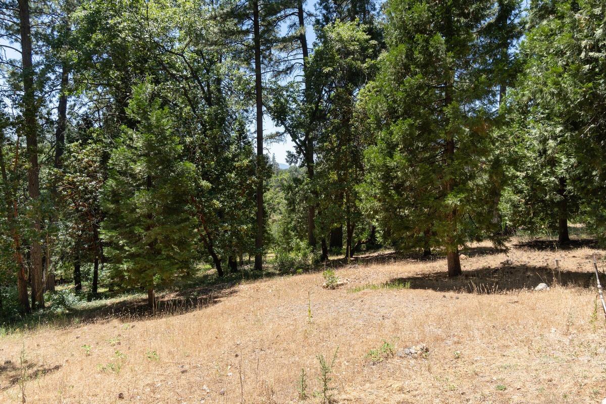 2360 Union Ridge Road Placerville, CA 95667 - Photo 46 of 48