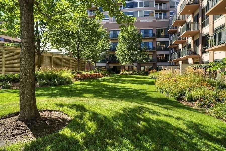 807 Davis Street, Unit 1307 Evanston, IL 60201 - Photo 21 of 22 a view of a big yard with plants and large trees