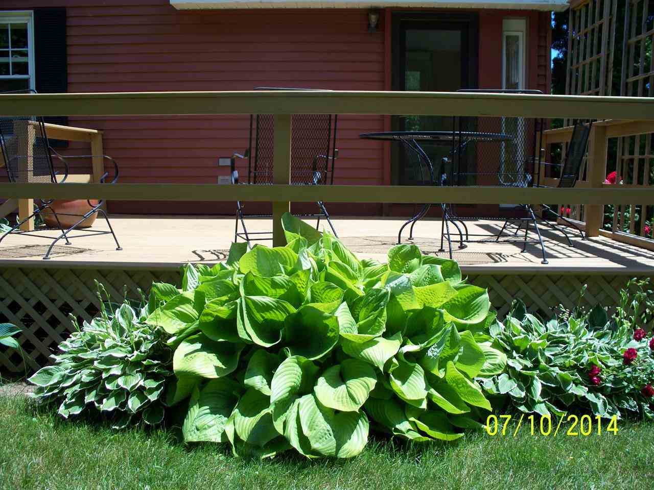 8876 East Bahle Road Suttons Bay, MI 49682 - Photo 8 of 53 1787700-7.JPG