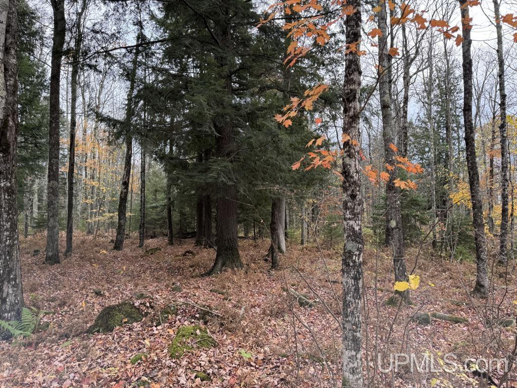 14043 Roland Lake Road Skanee, MI 49962 - Photo 40 of 40 Gallery Image 40