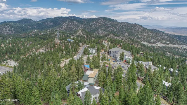 a view of a city with lush green forest