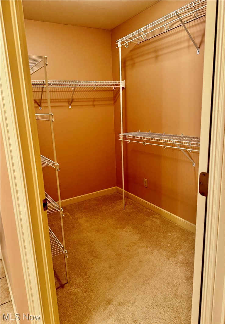 183 Mathews Road, Unit A Youngstown, OH 44512 - Photo 20 of 32 Walk in closet with light carpet