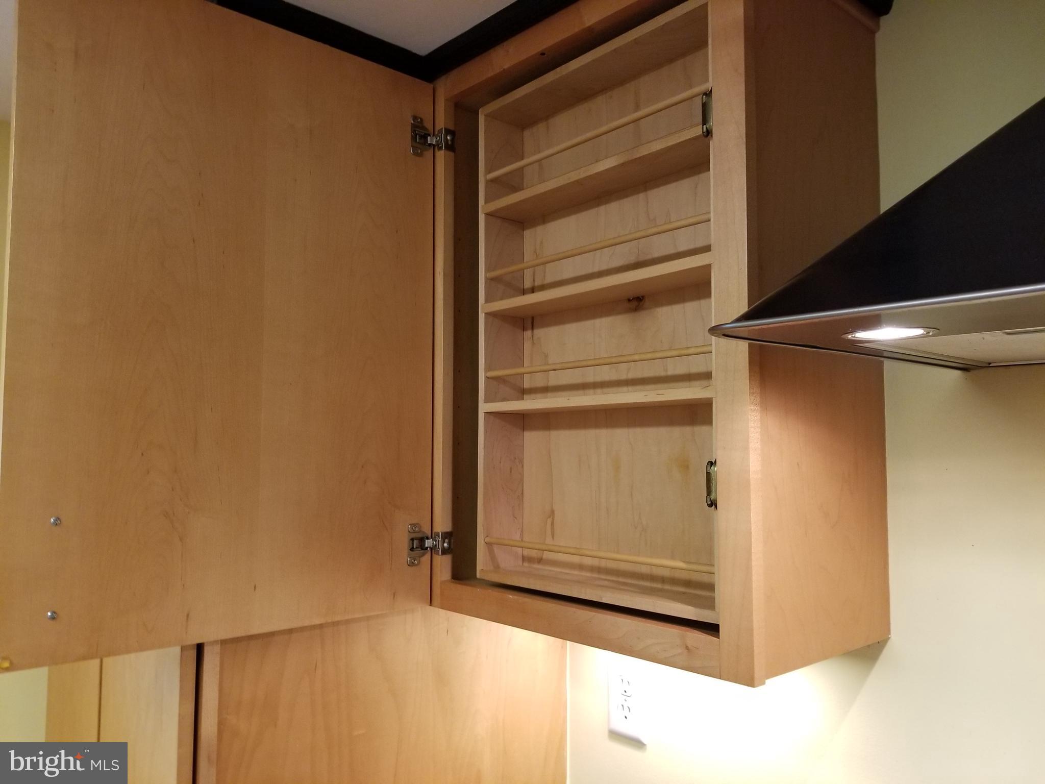 610 Riverside Drive Pasadena, MD 21122 - Photo 15 of 75 Built in Spice rack on hinge - 2 sided!