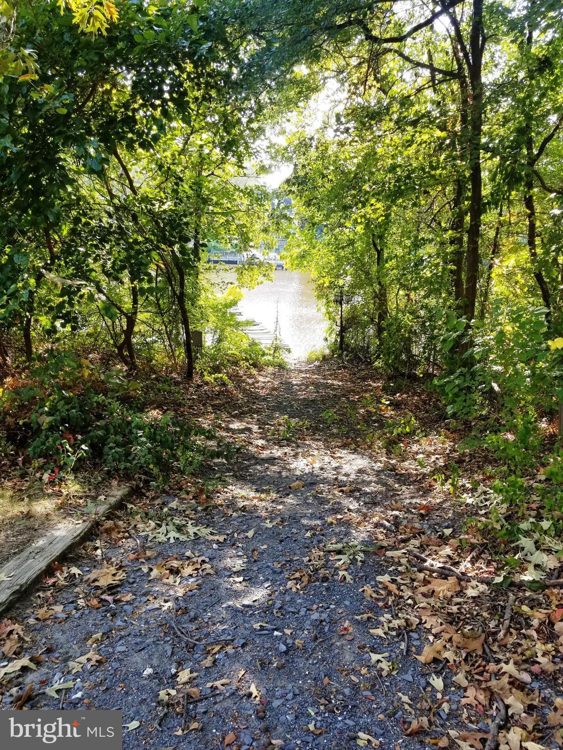 610 Riverside Drive Pasadena, MD 21122 - Photo 60 of 75 Private gravel lane to Cockey Creek