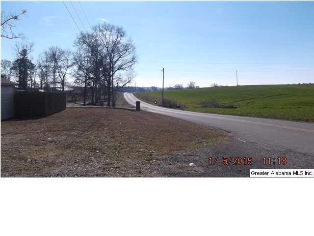 3214 Old Sulphur Springs Road Wellington, AL 36279 - Photo 14 of 14
