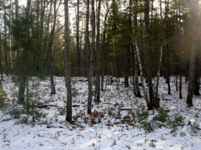 0 Whitetail Crossing Road Gleason, WI 54435 - Photo 3 of 8 Gallery Image 3