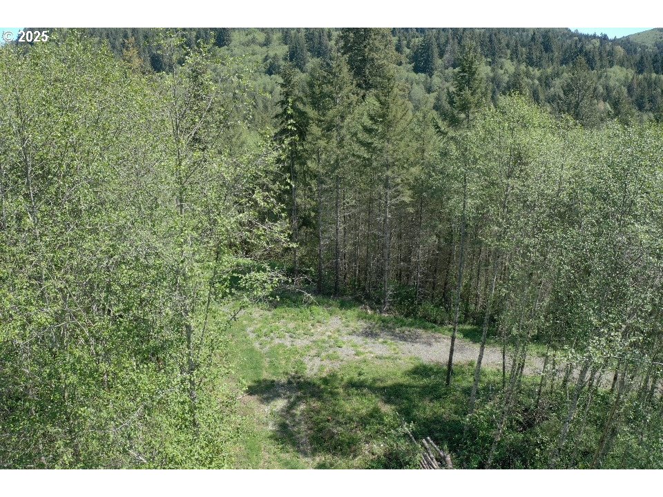 0 Northeast Elliott Road, Unit 57 Yacolt, WA 98675 - Photo 3 of 11 Gallery Image 3