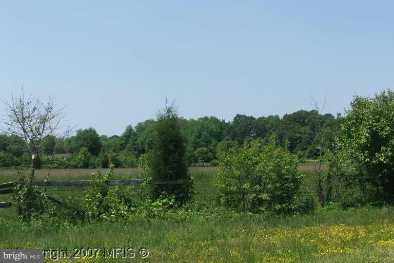 6111 Red Haven Road East New Market, MD 21631 - Photo 1 of 1 a view of a field with a tree in it