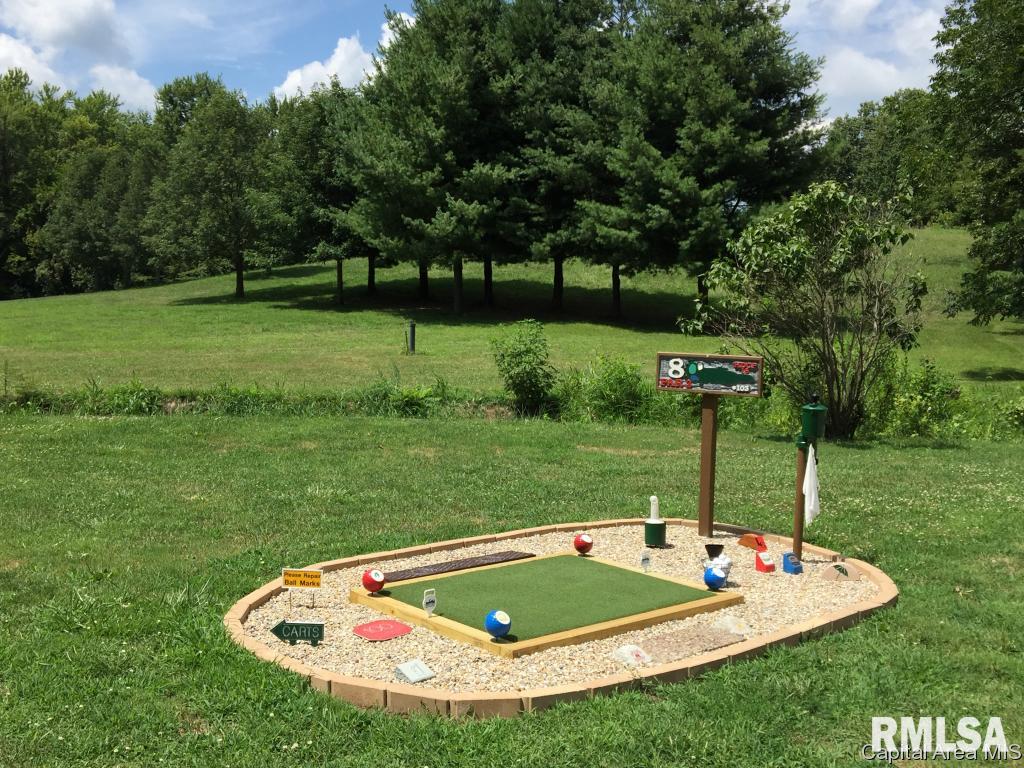 315 Clear Creek Road Dawson, IL 62520 - Photo 4 of 8 Gallery Image 4