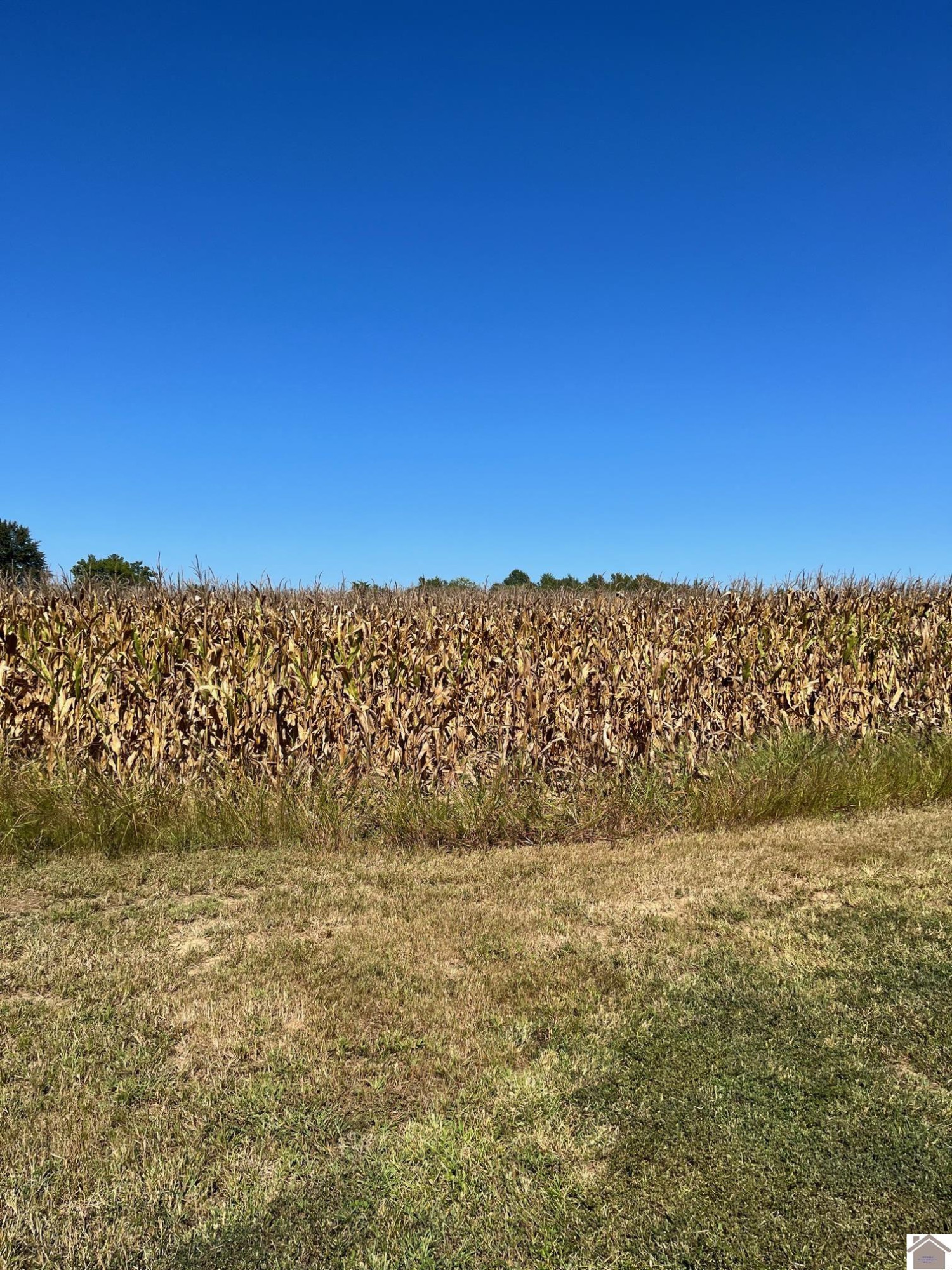 0 Flint Road Almo, KY 42020 - Photo 1 of 1 Photo 1