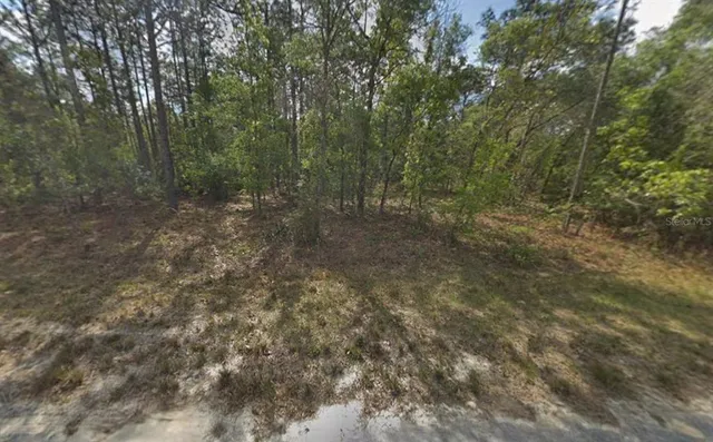 $33,900 | Resort Avenue, Weeki Wachee, FL 34614