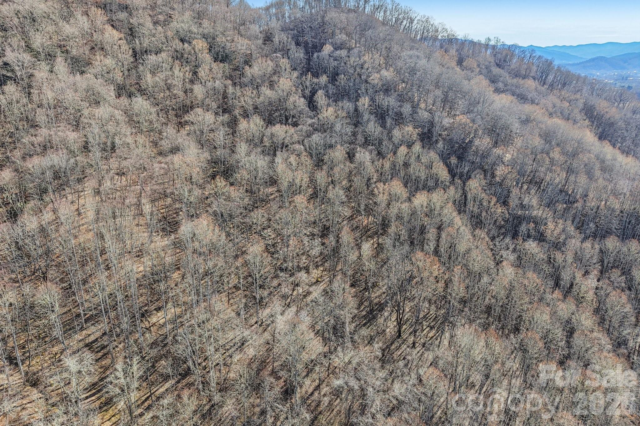 530 Wilson Cove Road Canton, NC 28716 - Photo 39 of 47