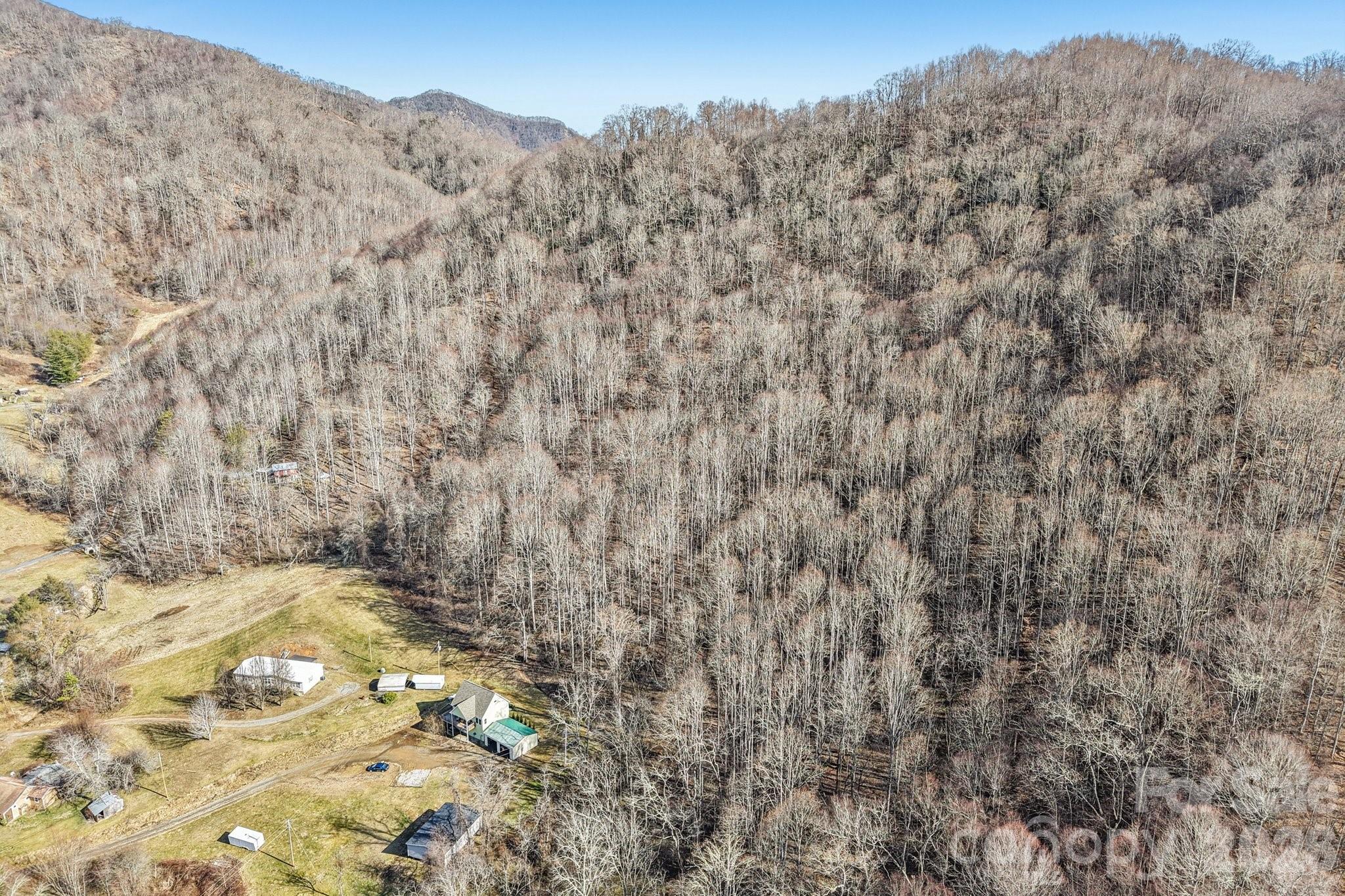 530 Wilson Cove Road Canton, NC 28716 - Photo 41 of 47