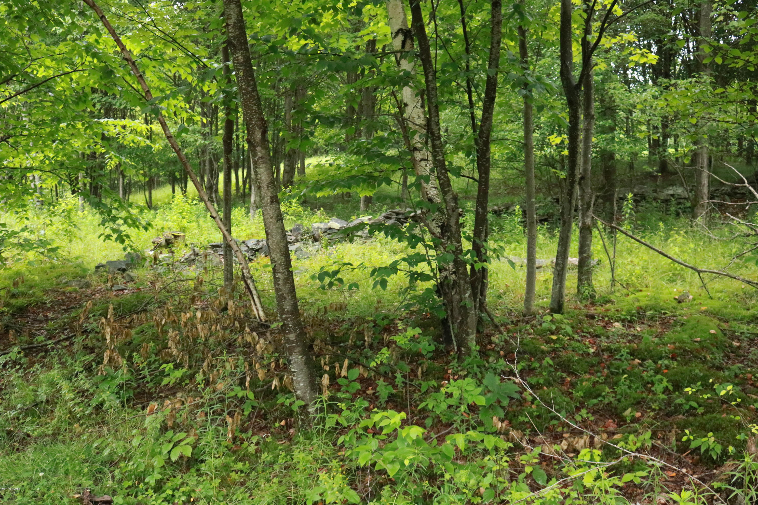 Rd Road Hancock, NY 13783 - Photo 8 of 10