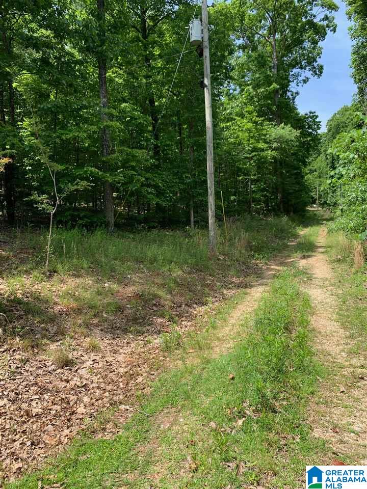 0 Allison Lane Springville, AL 35146 - Photo 1 of 1