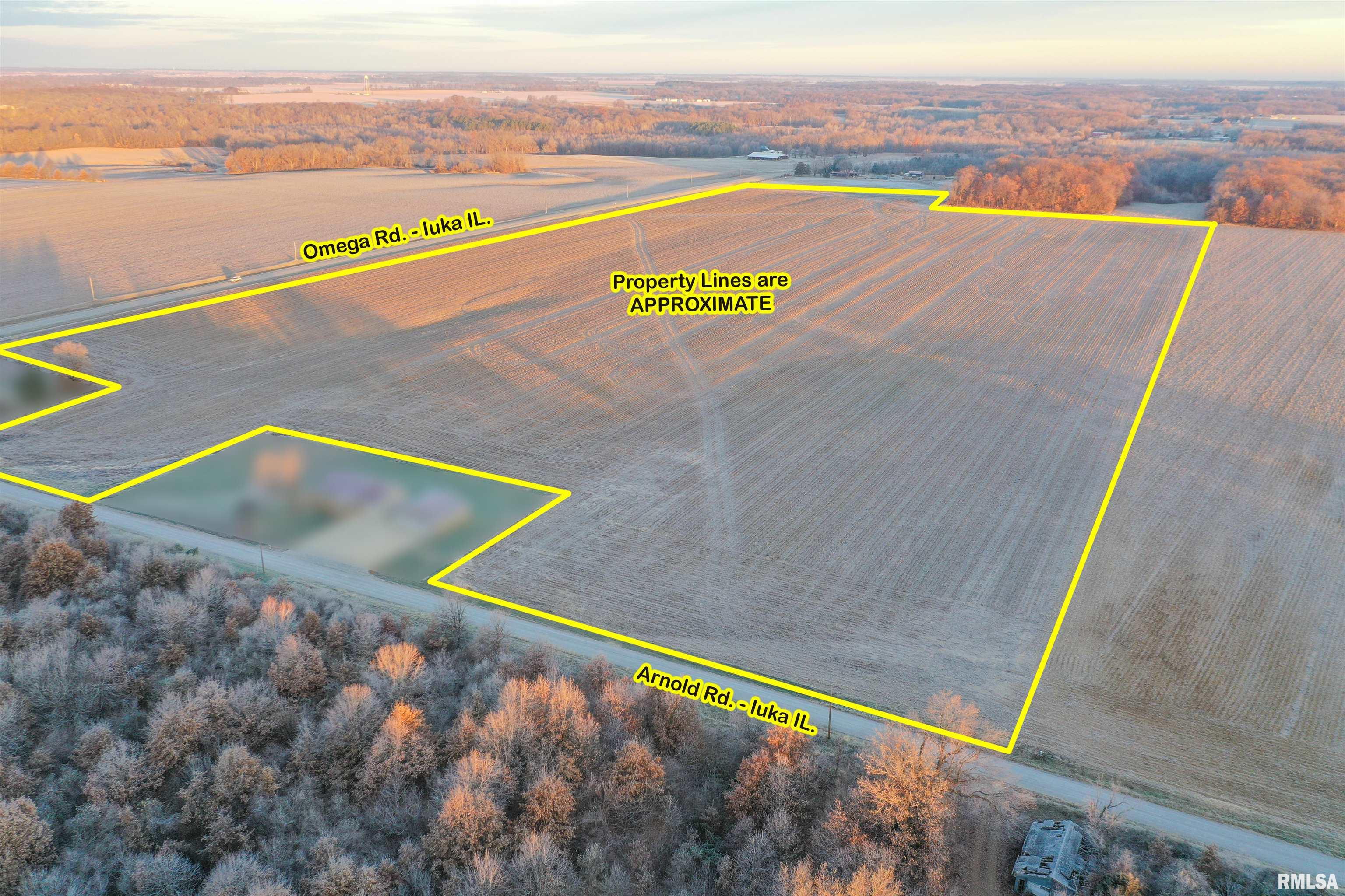 4600-block Omega Road Iuka, IL 62849 - Photo 4 of 11