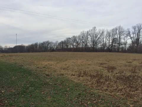 14031 27 Mile Road Albion, MI 49224 - Photo 20 of 36
