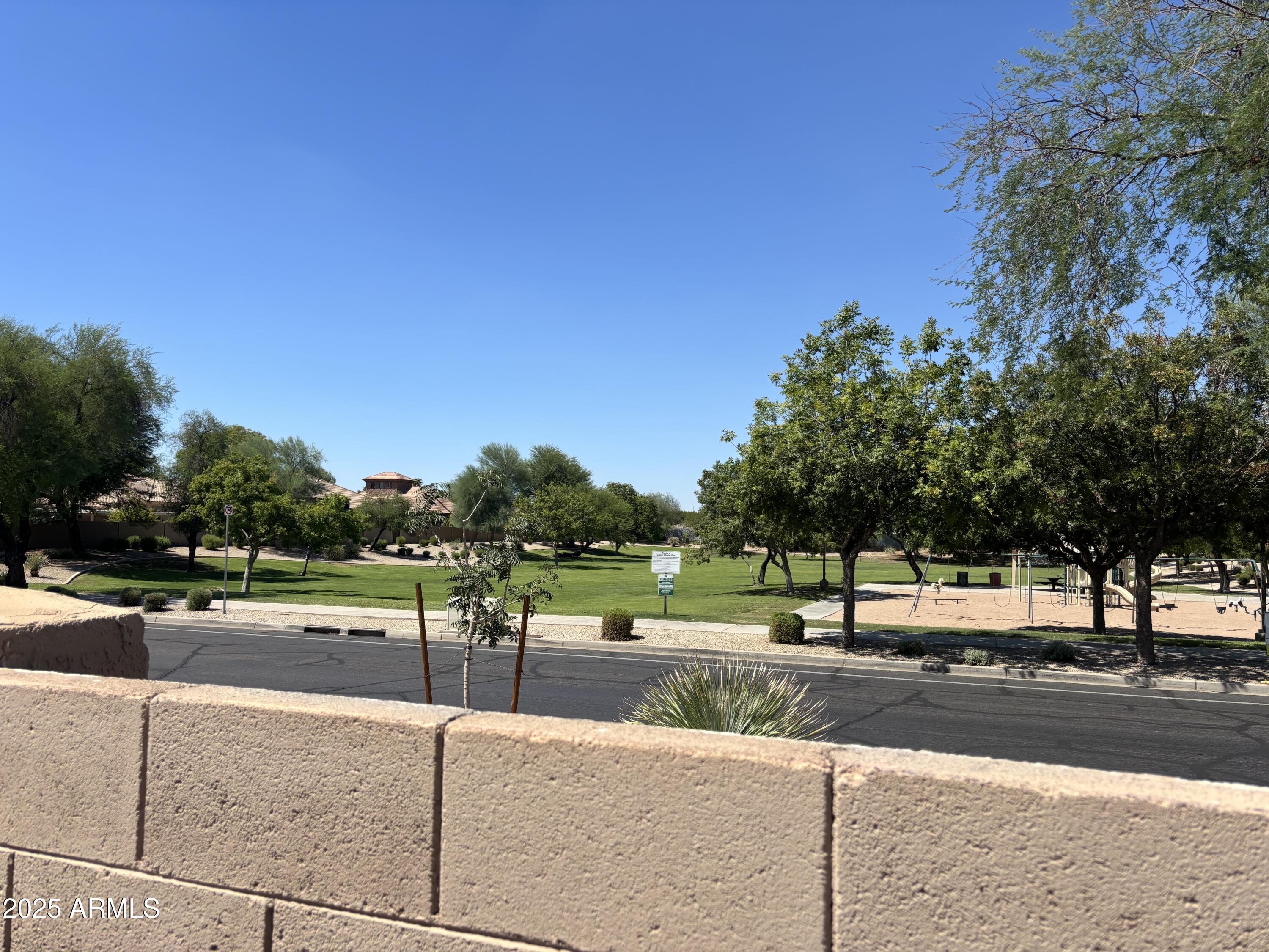 434 East Sheffield Avenue Gilbert, AZ 85296 - Photo 15 of 52 a view of a yard with a trampoline