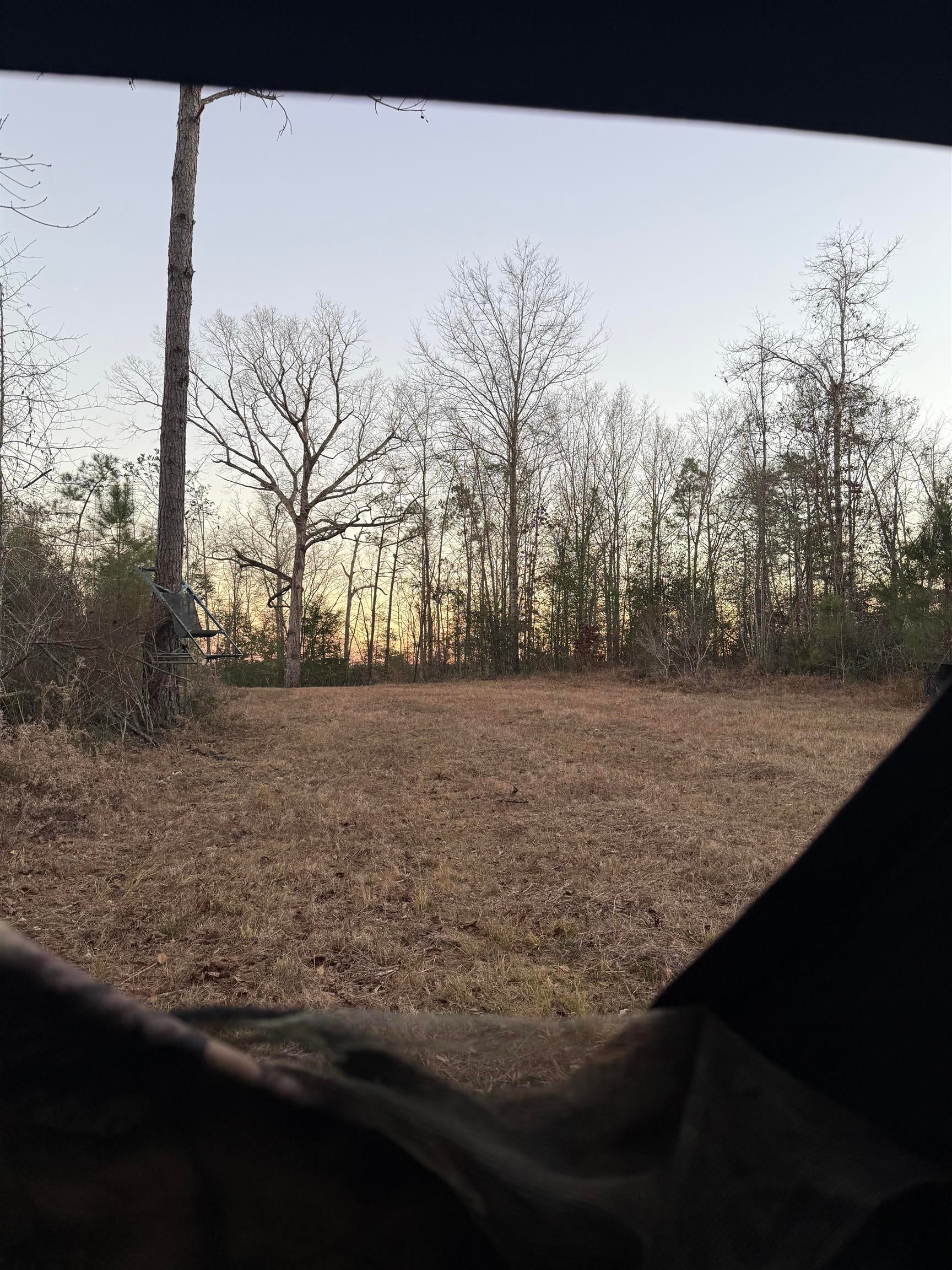 0 Cedar Cut Road Rutledge, AL 36071 - Photo 33 of 35 Gallery Image 33