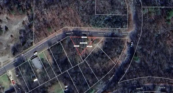 a picture of flowers