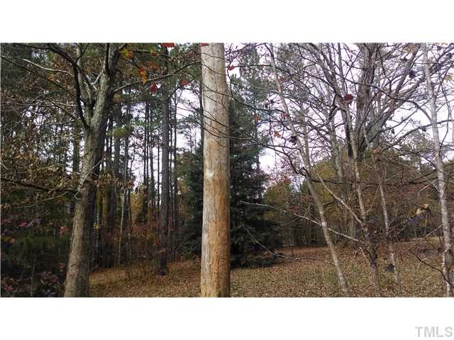 11441 John Allen Road Raleigh, NC 27614 - Photo 3 of 4 Photo 3