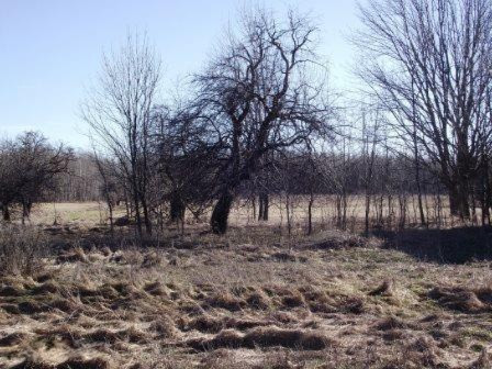 1053 East Freeman Road Free Soil, MI 49411 - Photo 4 of 6 DSCF4531