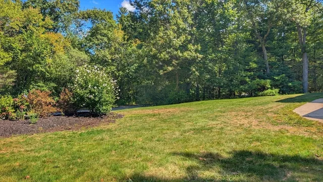 a view of an outdoor space and a yard