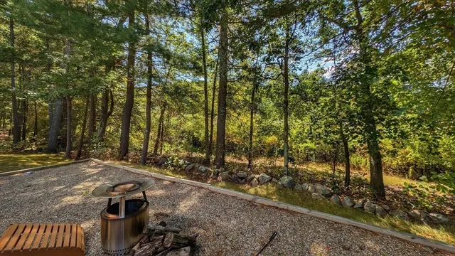 a view of a forest with trees
