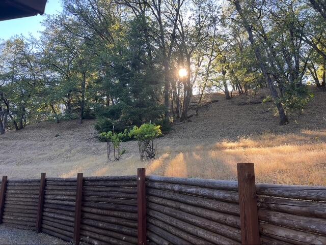 1200 Mountain Springs Road Lewiston, CA 96052 - Photo 49 of 57 a view of a yard with plants and wooden fence