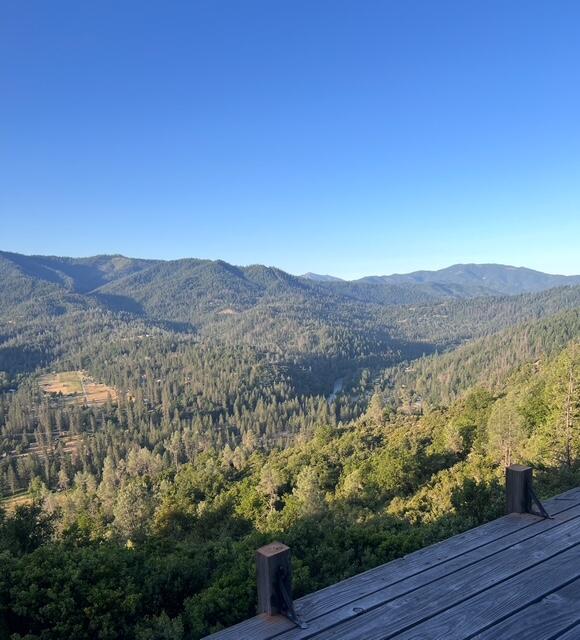 1200 Mountain Springs Road Lewiston, CA 96052 - Photo 57 of 57 a view of a forest with mountains in the background