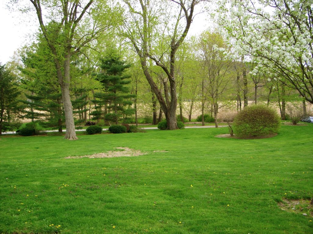 33 West Sheffield Road Great Barrington, MA 01230 - Photo 11 of 14 YARD