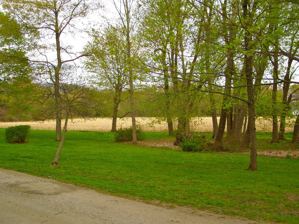 33 West Sheffield Road Great Barrington, MA 01230 - Photo 12 of 14 CORNFIELD