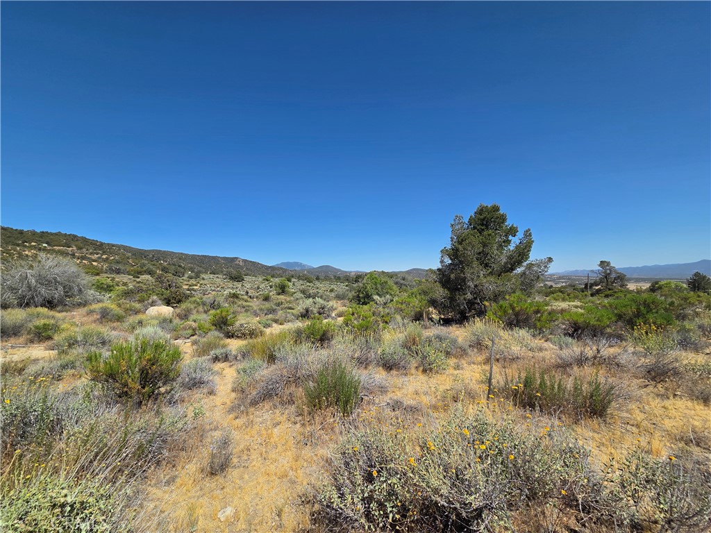 37310 Bohlen Road Anza, CA 92539 - Photo 4 of 11