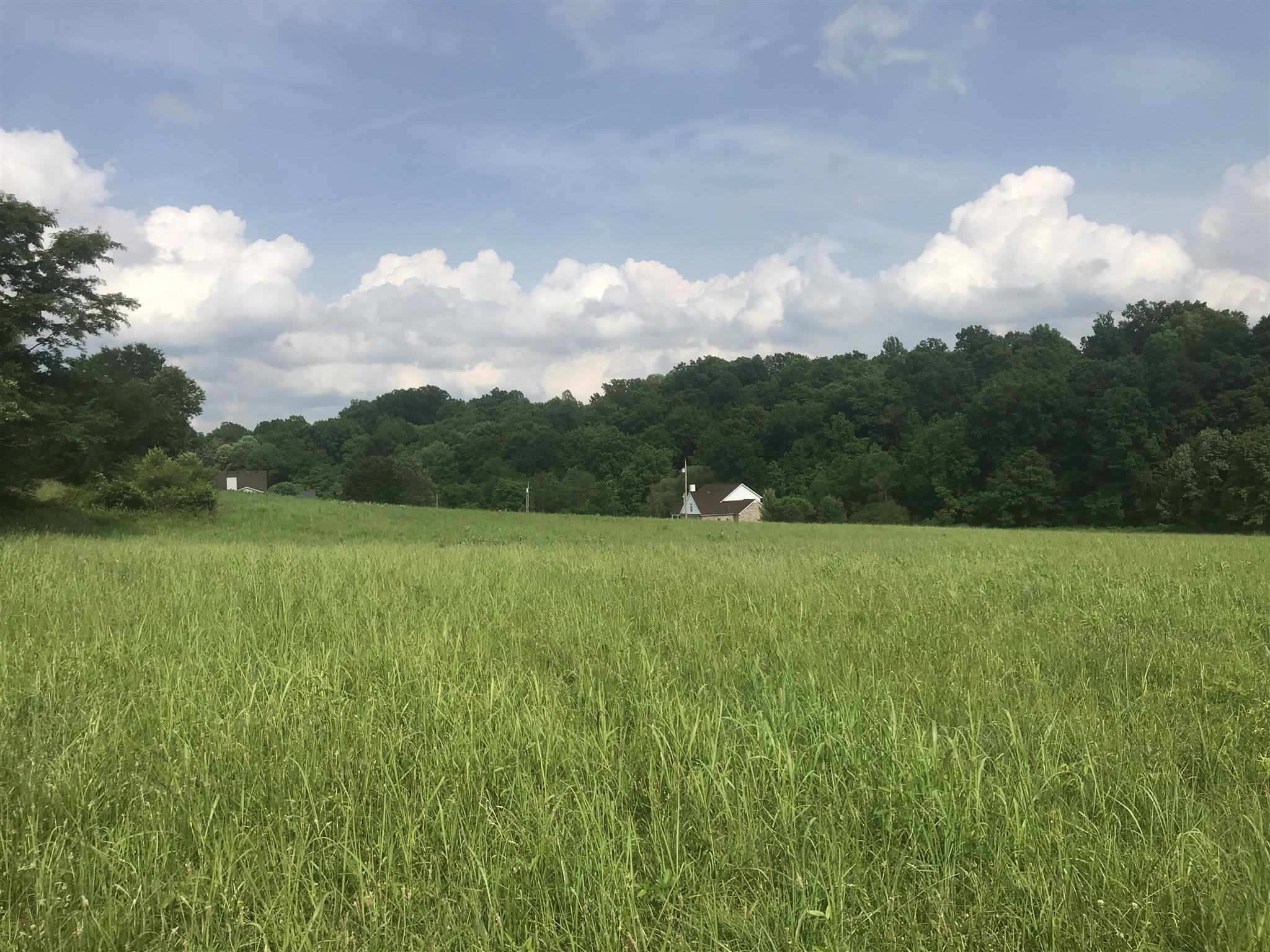 0 Meeks Cemetery Road Burns, TN 37029 - Photo 3 of 3 a view of a green field with wooden fence