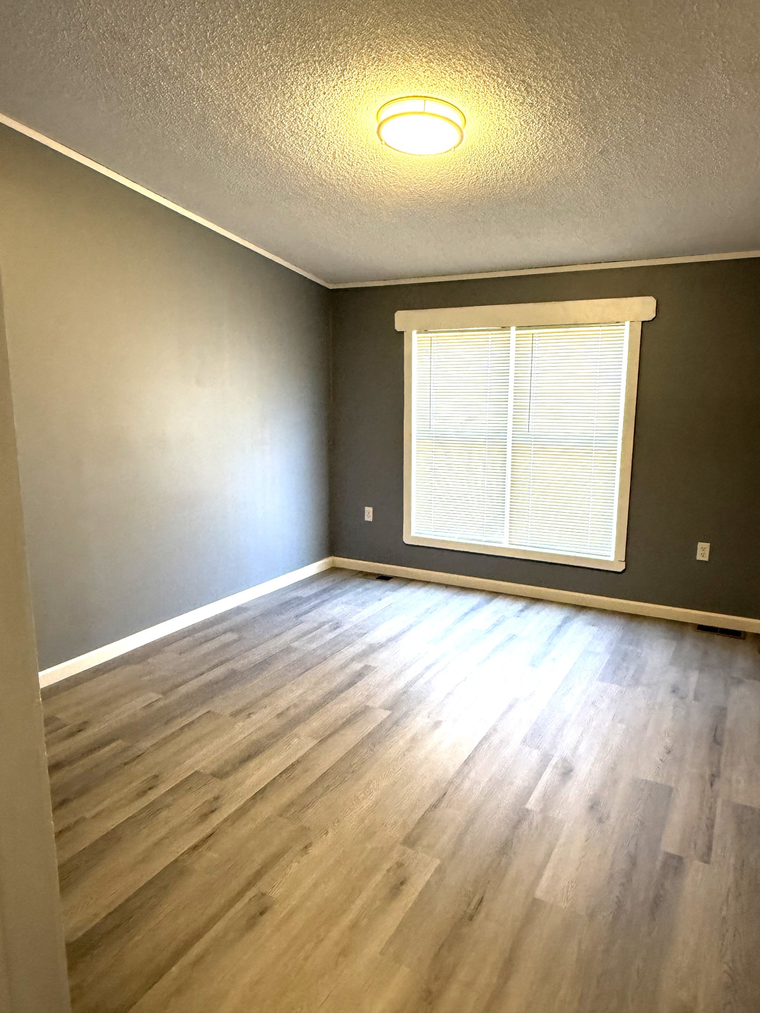 584 Rabbit Trail Road Leoma, TN 38468 - Photo 9 of 18