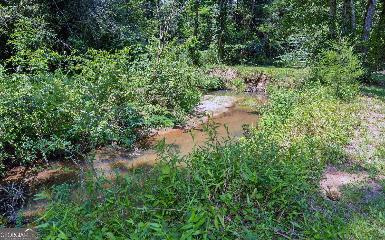 46 Cedar Ridge Drive Toccoa, GA 30577 - Photo 46 of 48 a view of a lake with a tree