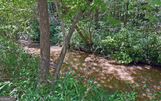 a view of a forest with trees