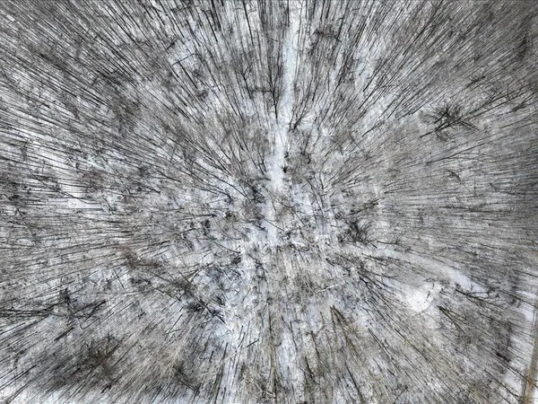 $349,999 | 27262 151st Avenue, Bagley, MN 56621