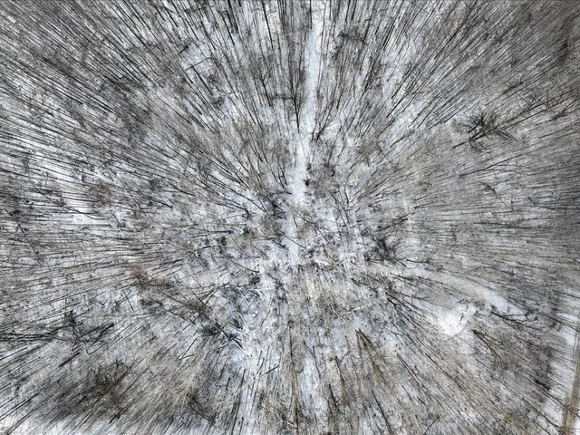 $349,999 | 27262 151st Avenue, Bagley, MN 56621