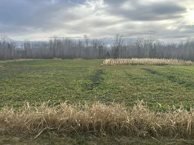 $349,999 | 27262 151st Avenue, Bagley, MN 56621