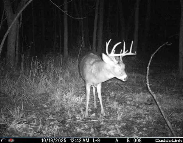 $349,999 | 27262 151st Avenue, Bagley, MN 56621