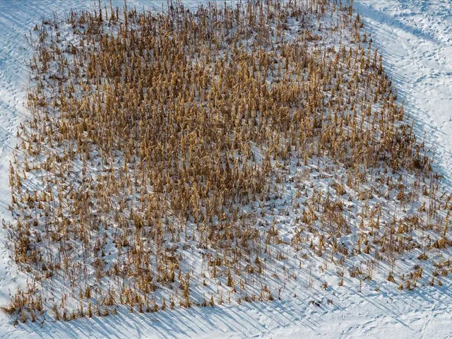 $349,999 | 27262 151st Avenue, Bagley, MN 56621