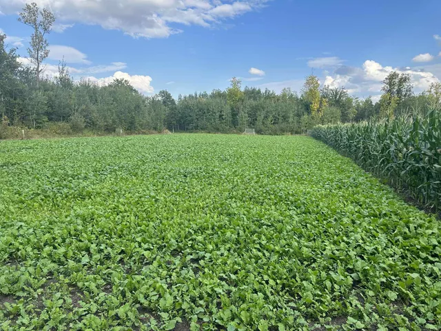 $349,999 | 27262 151st Avenue, Bagley, MN 56621