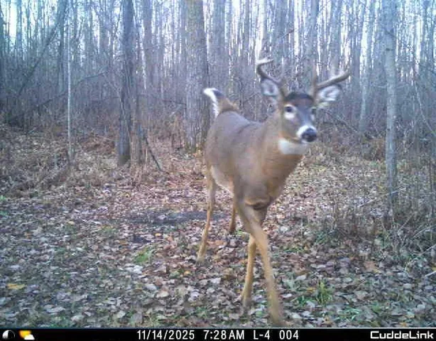 $349,999 | 27262 151st Avenue, Bagley, MN 56621