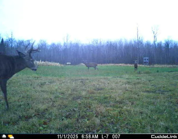 $349,999 | 27262 151st Avenue, Bagley, MN 56621