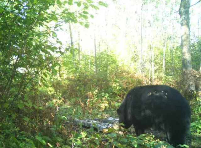 $349,999 | 27262 151st Avenue, Bagley, MN 56621