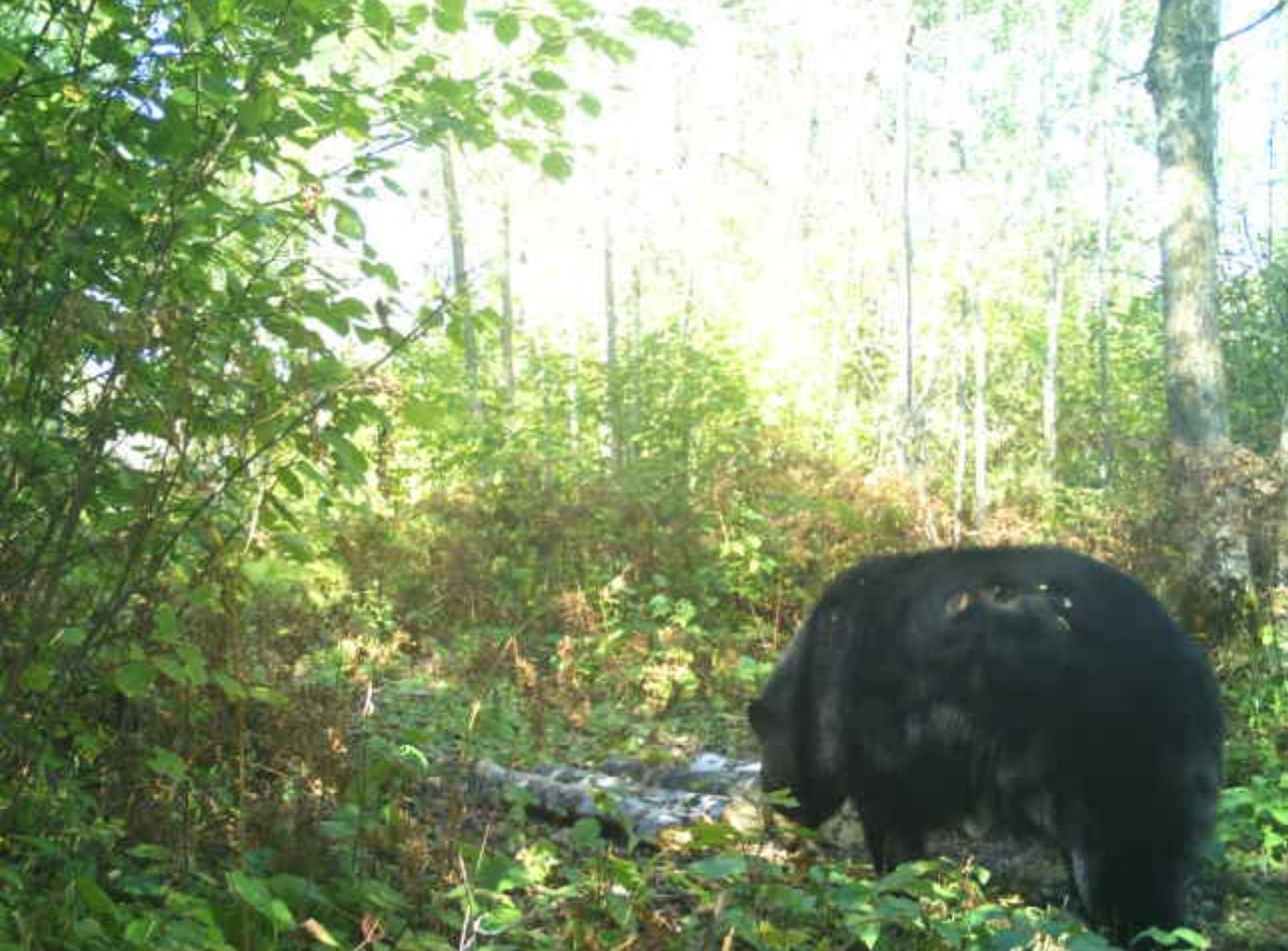 27262 151st Avenue Bagley, MN 56621 - Photo 28 of 75